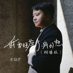 我曾经发了疯的想 (烟嗓版)
