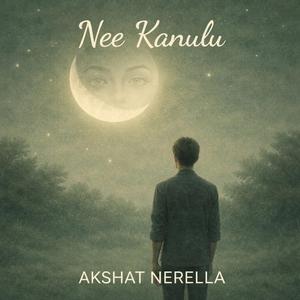 Nee Kanulu