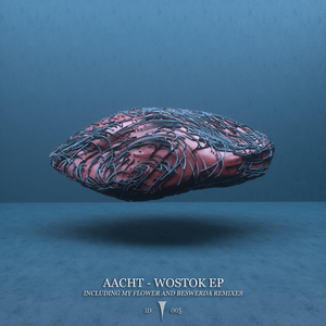 Wostok (My Flower Remix)
