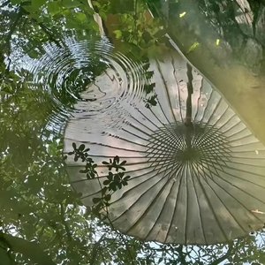 秋雨孤亭残荷风