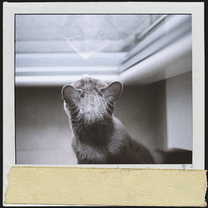 musique pour la sieste