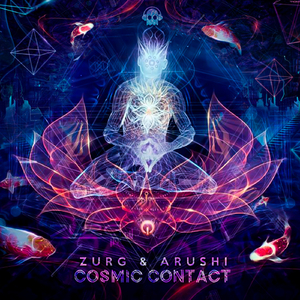Cosmic Contact (Original Mix)