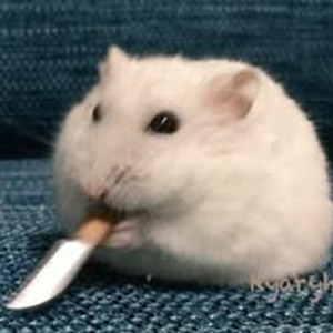 Hello How Are You (Sped Up)