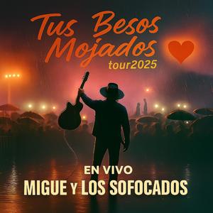 Voy Buscandote (En vivo)