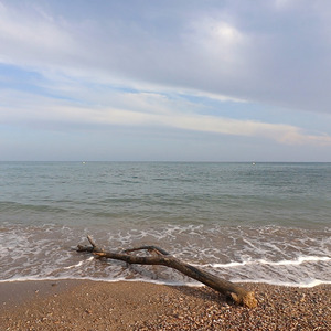 Ella (Mentre els núvols ja se'n van)