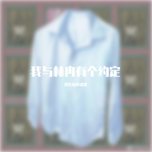 长袖白衫-spylent