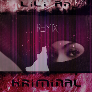 Kriminal (Remix)