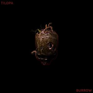 BURROW