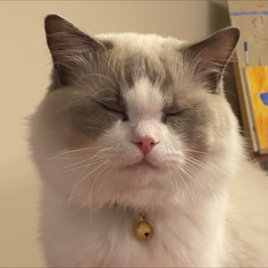 在这座城市遗失了你 (Demo)