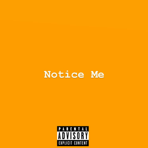 Notice Me