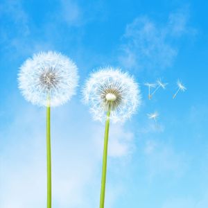 행복은 곁에 있다