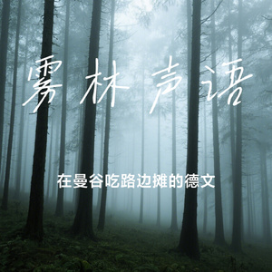 雾林声语