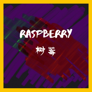 Raspberry树莓