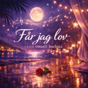 Får jag lov - i en visuell bachata