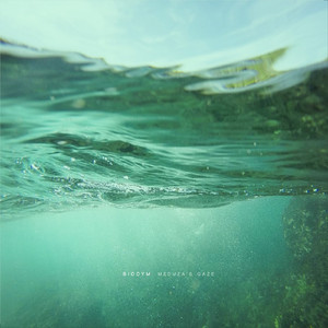 Diaphanous (Original Mix)