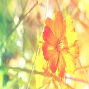 催眠曲舒缓压力 快速入睡（深度睡眠）