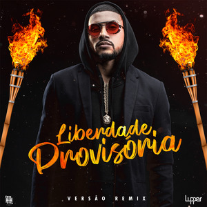 Liberdade Provisória (Remix)