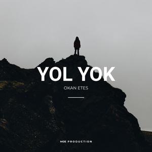 YOL YOK
