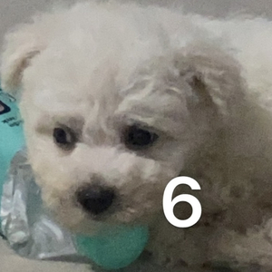 Hardwell-dj jk set 20min.mp3（Dj JK remix）