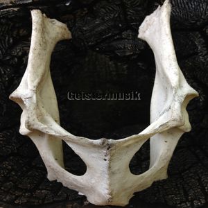 We Are Able To Look Around