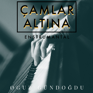 Çamlar Altına (Enstrumantal)