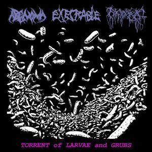 DULL SCALPEL EXSANGUINATION // DECELERATED PUS DECOMPOSITION (OUTRO)
