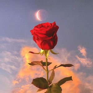 Sunshine girl(翻唱：moumoon)