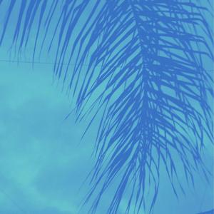 失夜(Prod MoonVibe & BLACKFAT )