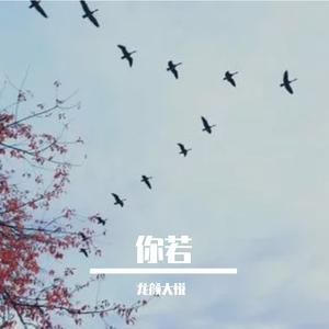 你若成风，我愿化成雨