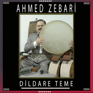 Dildare Teme