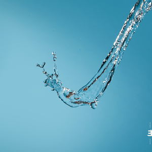 The Teacher (Revisited)