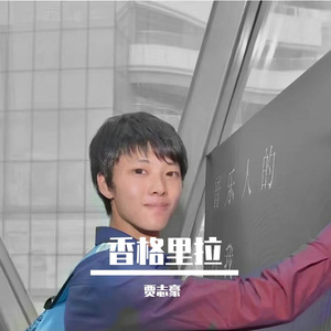 风中的遗憾