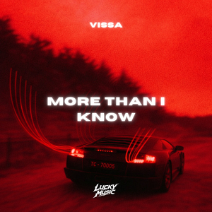 More Than I Know (Slowed)