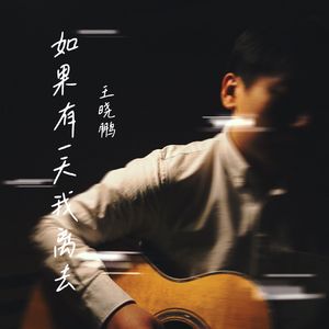 如果有一天我离去