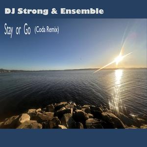 Stay Or Go (Coda Remix)