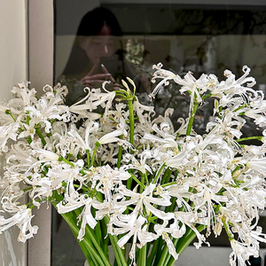 “和你” SASIOVERLXRD&连麻 Type Beat