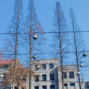 盛夏随笔pt.3(Prod by Keerad)