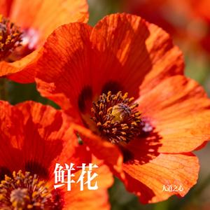 鲜花
