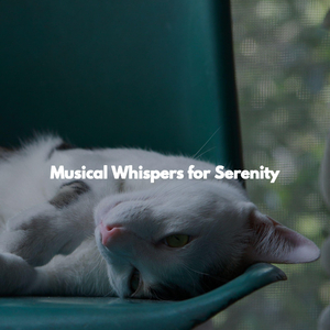 Unique Ambiance for Quiet Offices