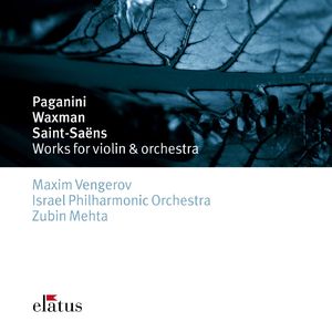 Introduction and Rondo capriccioso for Violin and Orchestra in A Minor, Op. 28