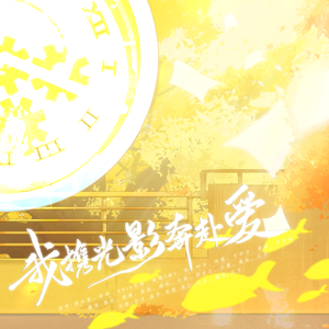 我携光影奔赴爱