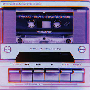 Goin' Hard (Warez Flip)