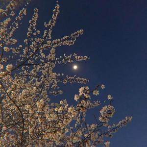 6개의 피아노 소품, Op. 118 - 제2번 간주곡 가장조 (피아노 플레이리스트의 피아노를 위한 편곡)