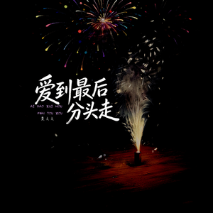 爱到最后分头走