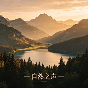 雨后回声