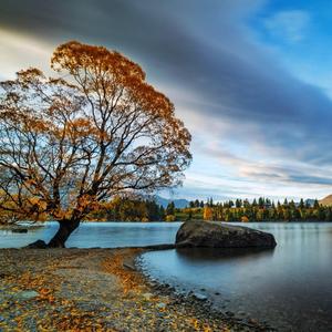 跨越一切的距离与你相见