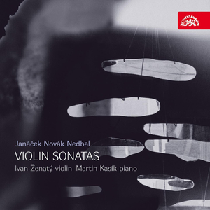 Violin Sonata in B Minor, Op. 9: I. Andante maestoso - Allegro con moto