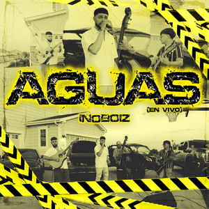 Aguas (En Vivo)