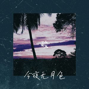 今 夜 无 月 色