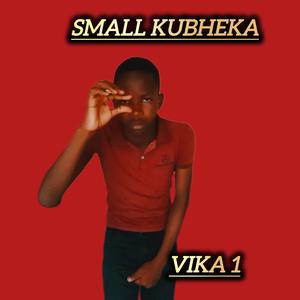 VIKA 1 (feat. Umshinikazwelonke & Ikhathid'elihle)